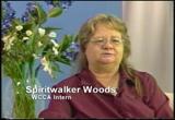 Spiritwalker Woods
